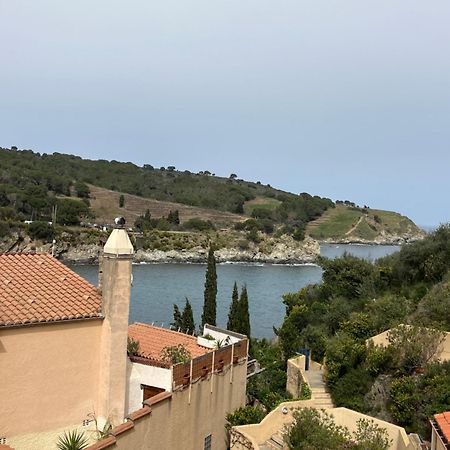 T3 Pieds Dans L'Eau Clim Wifi Terrasse Vue Mer Banyuls-sur-Mer Buitenkant foto