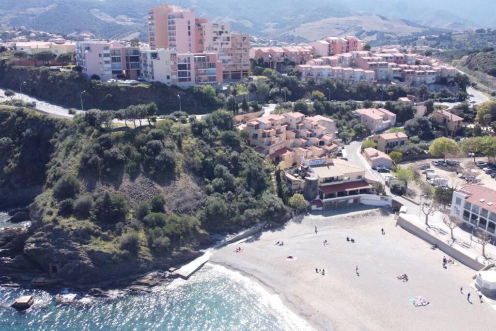 T3 Pieds Dans L'Eau Clim Wifi Terrasse Vue Mer Banyuls-sur-Mer Buitenkant foto
