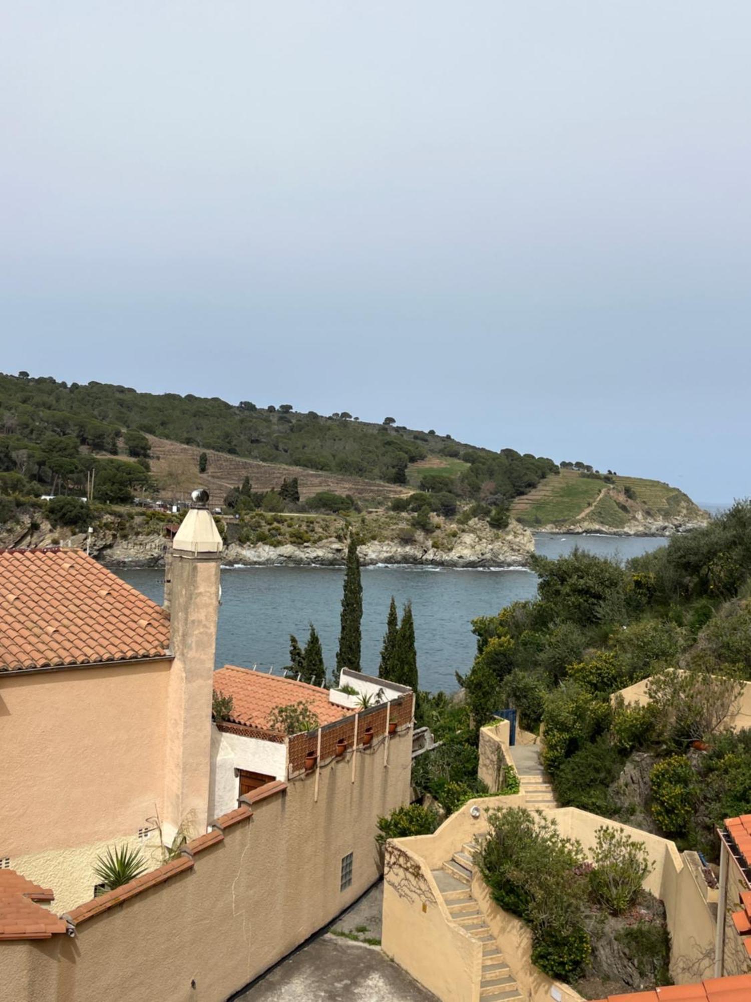 T3 Pieds Dans L'Eau Clim Wifi Terrasse Vue Mer Banyuls-sur-Mer Buitenkant foto